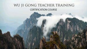 Wu Ji Gong Teacher Training Qi Gong School